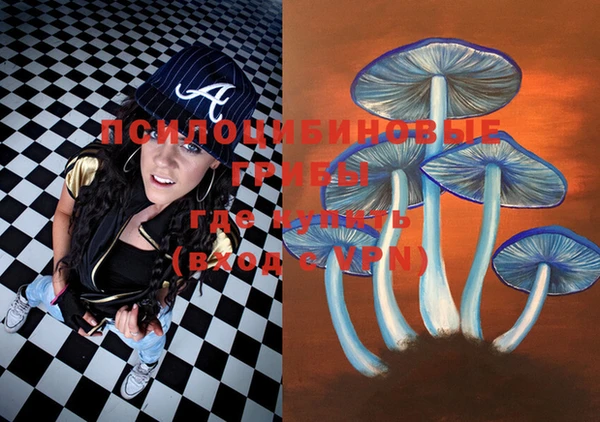 2c-b Покровск